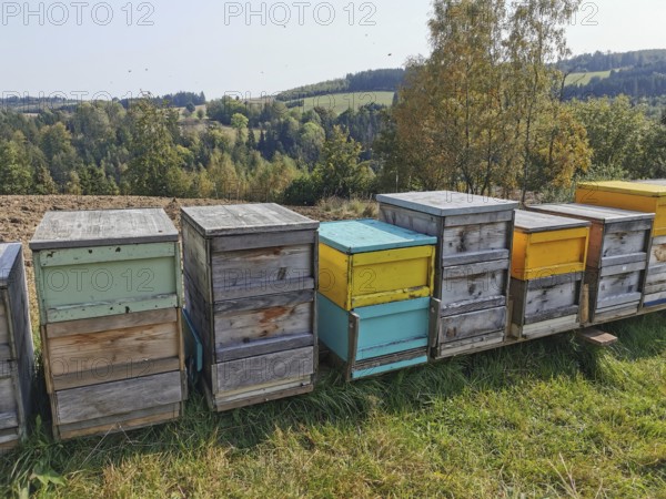 Colourful beehives (apis) stand in a meadow in an autumnal landscape under a clear sky, Franconian
