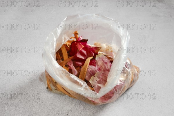 A clear plastic bag on a kitchen counter, containing various vegetable scraps and peels. The bag