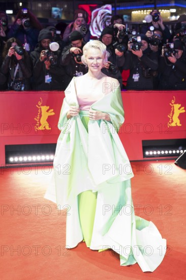 Pamela Anderson on the Red Carpet in front of the premiere of Rosebush Pruning at the Berlinale at