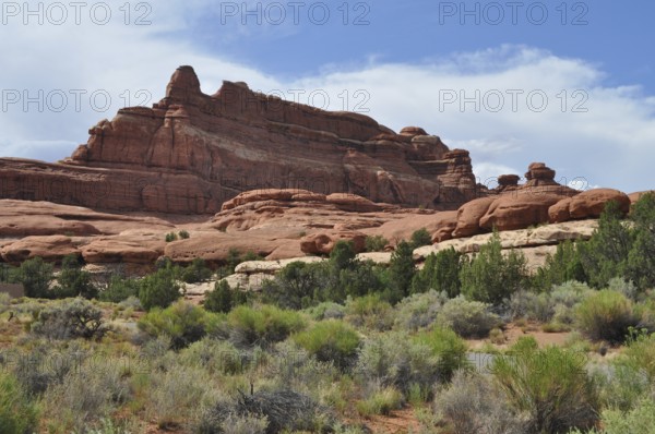 Impressive red rocks rise against a clear blue sky surrounded by dry vegetation, Canyonlands