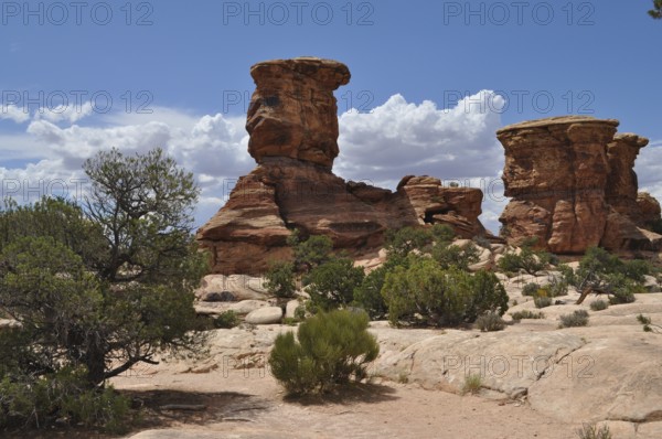Dramatic rock formations with green shrubs under a blue sky with few clouds in a desert