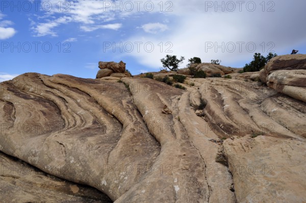 Close-up of curved rock formations under a partly cloudy sky, Canyonlands National Park, Utah, USA