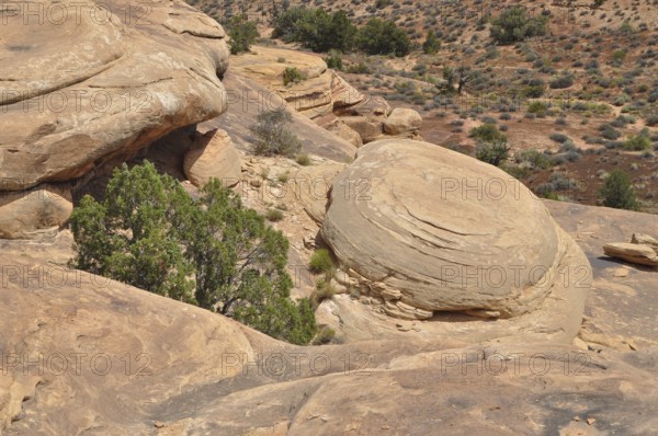 An impressive rock formation with sparse vegetation in an arid landscape, Canyonlands National