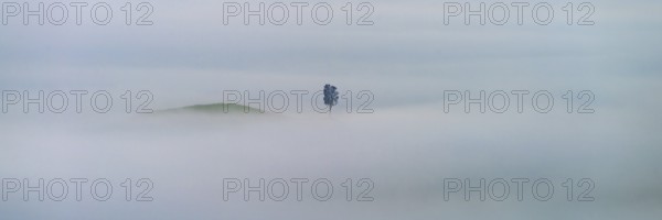 Landscape at sunrise around Volterra, Pisa province, Tuscany, Italy
