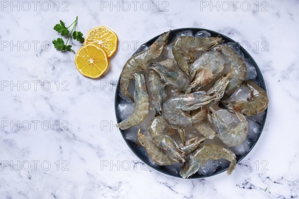Fresh raw shrimp, spread on ice with lemon and cilantro slices on a marble surface, ready to cook,
