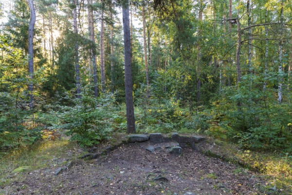 Remains of the foundations of St. Catherine's Chapel on Einsiedlerstein in the Dippoldiswald Heath,