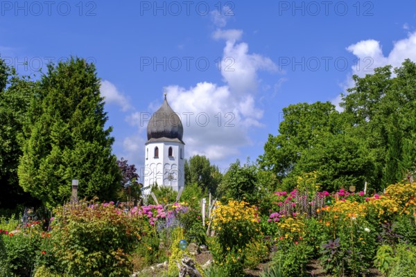 Blumengarten mit Klosterkirche, Campanile, Fraueninsel, Chiemsee, Chiemgau, Upper Bavaria, Bavaria,