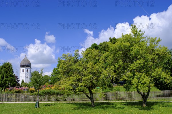 Kloster, Kirchturm, Campanile, Fraueninsel, Chiemsee, Chiemgau, Upper Bavaria, Bavaria, Germany