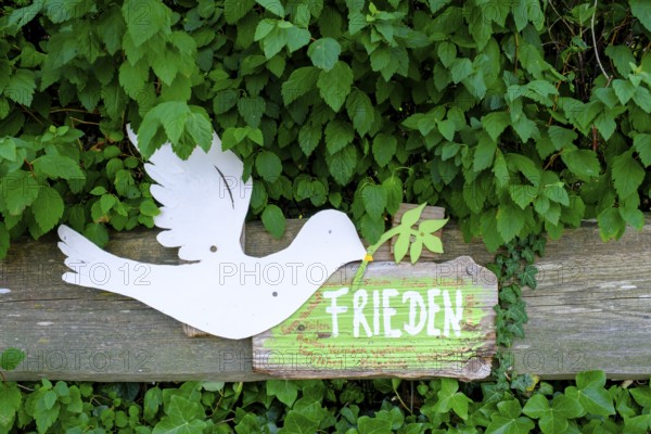 Sign, peace, dove, symbol, Fraueninsel, Chiemsee, Chiemgau, Upper Bavaria, Bavaria, Germany