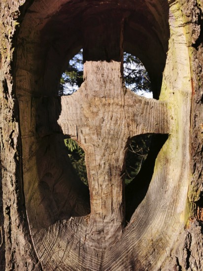 Wooden cross carved into a tree trunk steeped in sunlight, hiking in the Frankenwald nature park