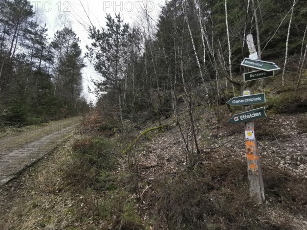 Signs guide hikers through a wooded path in autumn, on the former inner-German border, hiking along