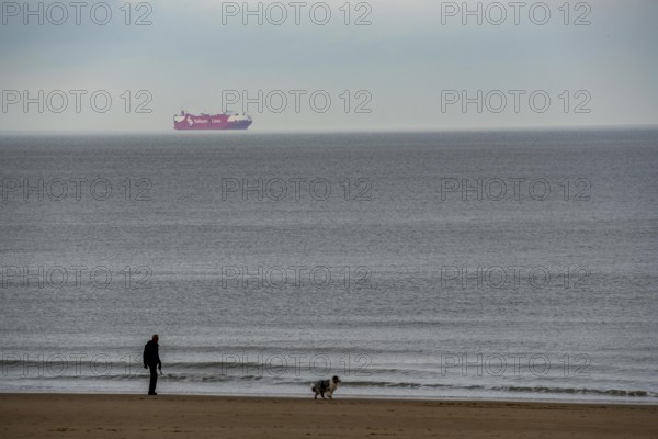 Winter break, on the Zeedijk-Knokke, beach promenade in Knokke-Heist, beach walkers with dogs,