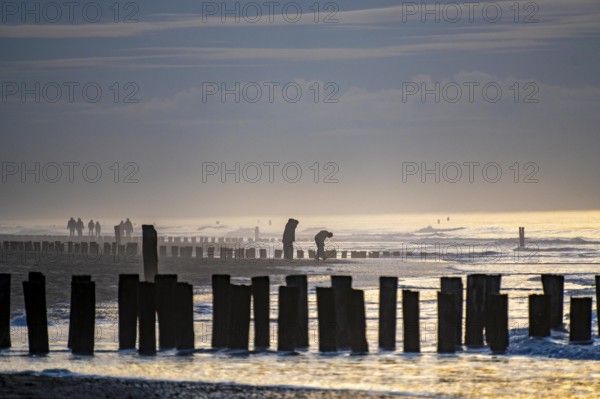 Winter on the North Sea, sunset at sea, beach walkers, coastal protection, through wooden posts,