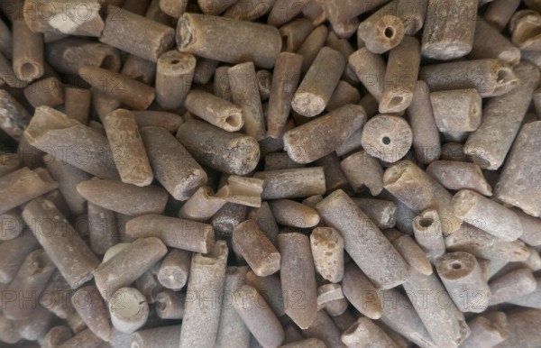 Fossils, thunderbolts or devil's fingers. Fossilised inner skeletons (rostrums) of extinct