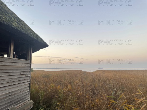 Perfect spot to watch cranes. Crane observation site near Bisdorf. Western Pomerania Lagoon Area