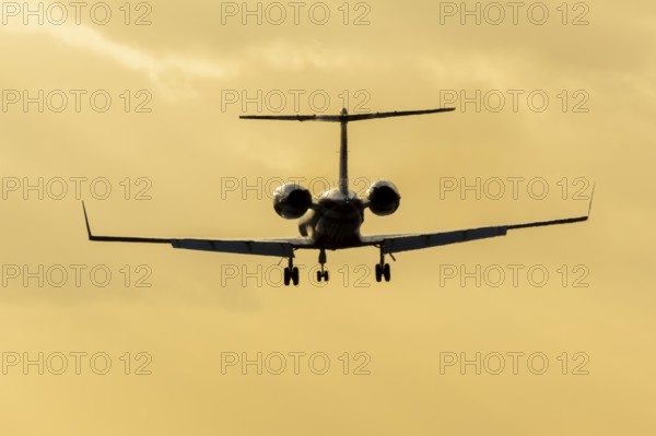 Gulfstream GIV SP XA-FDM executive business jet aircraft in flight on approach to land silhouette