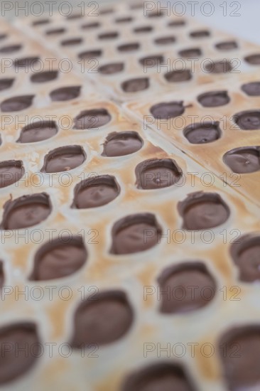 Filled chocolate mold with solidifying chocolate, vegan chocolates production, Haselstaller Hof,