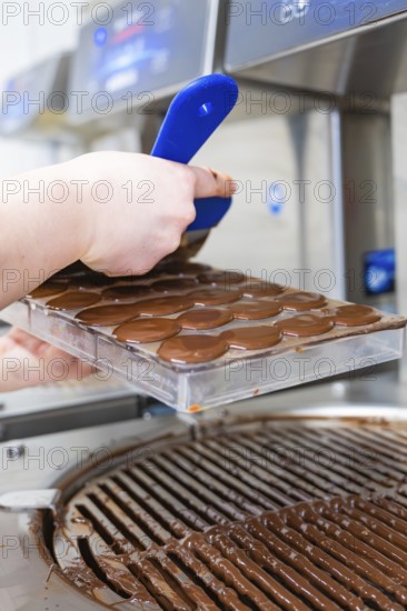 Removing the chocolate mold from a chocolate machine, vegan chocolate production, Haselstaller Hof,