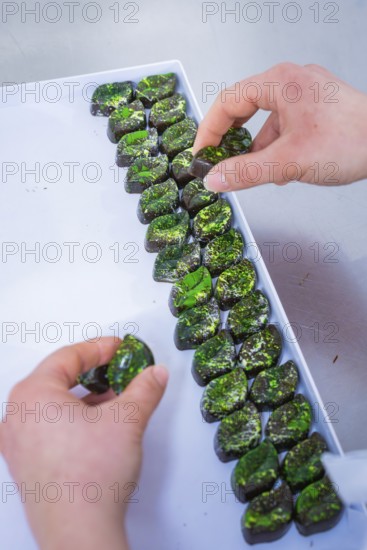 Hand sorted shiny green chocolates on a tray in a careful arrangement, vegan chocolates production,