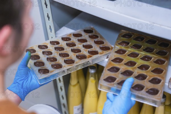 Person with blue gloves holding chocolate molds in front of a shelf with yellow bottles, Vegan