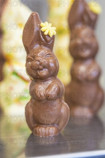 Chocolate bunny made from milk chocolate with a small yellow flower as decoration, Easter