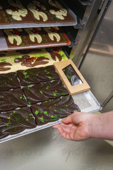 Hand pulls a tray with chocolate bars and chocolates out of the oven, Easter production of regional