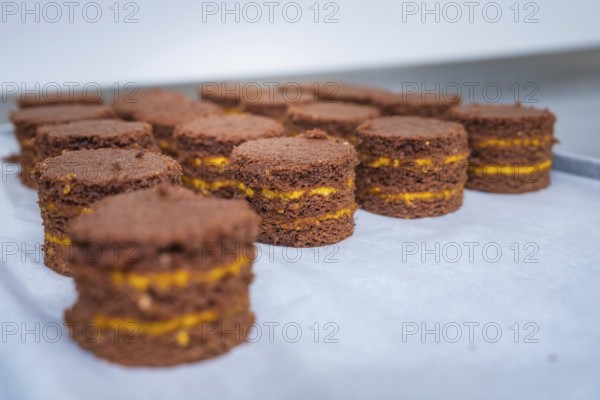 Set of chocolate cakes with yellow layers on baking tray, vegan tarts production, Haselstaller Hof,