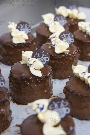 Small chocolate cakes with cream and chocolate logo on tray, vegan cake production, Haselstaller