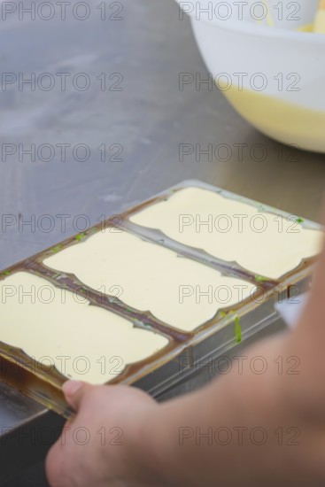 Chocolate molds on a table in a manufacturing environment, Vegan chocolate production, Haselstaller