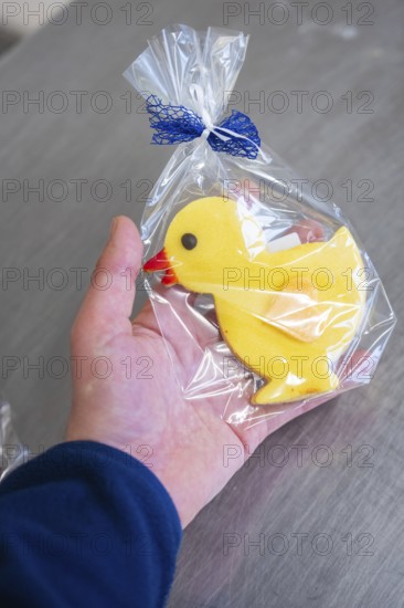 Yellow duck cookie is held in the hand, wrapped in transparent film with blue ribbon, Easter