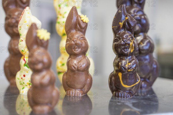 Various chocolate Easter bunnies in an Easter mood, Easter production of regional products,