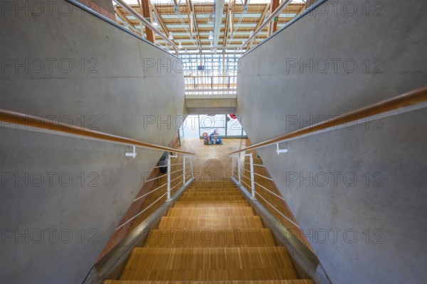 Wooden staircase with concrete walls in a modern public building, Schlehengäu Sporthalle Gechingen,