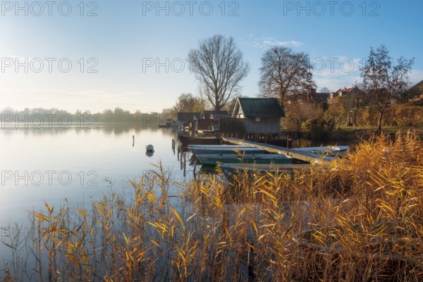 Jetty with rowing boats and boathouses at Schaalsee in morning light, reeds in autumn colors,