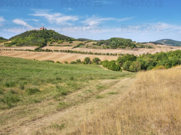 View of hilly landscape with meadows, fields and forests of Wachsenburg Castle and the ruins of