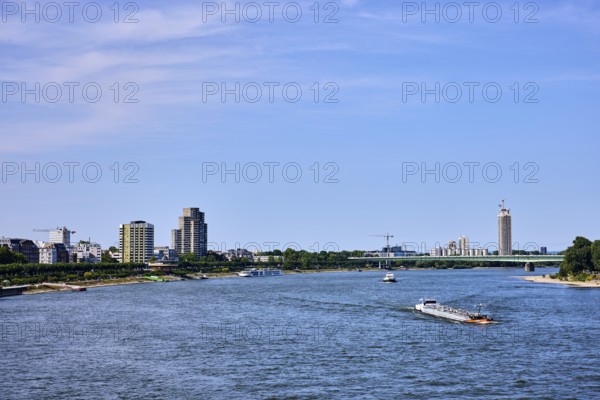 Rhine river, total view, general architecture, skyscrapers, car bridge, zoo bridge, trees, tanker,