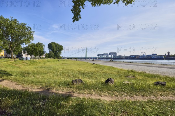 Herbert-Liebertz-Wiese, Rhine river, footpath, lawn, trees, branches, stones, general architecture,
