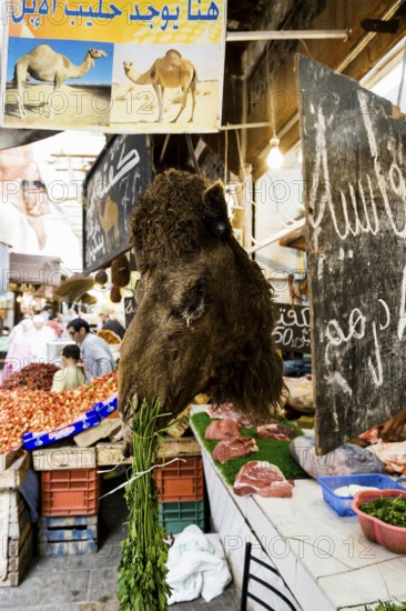 Butcher shop with camel meat, Souk, Fez El Bali, Medina, UNESCO World Heritage Site, Fez, Morocco