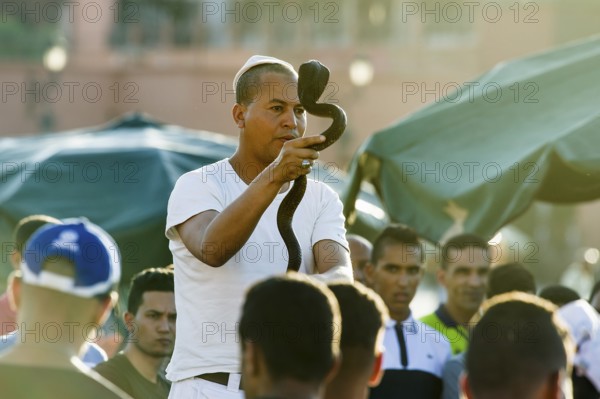 Snake charmers on Place Djemma el-Fna, Juklerplatz, UNESCO World Heritage Site, Marrakech, Morocco