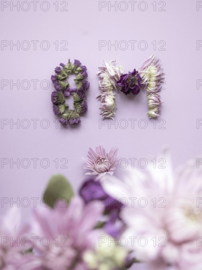 Floral composition creating the numbers 8m against a pastel background, celebrating international