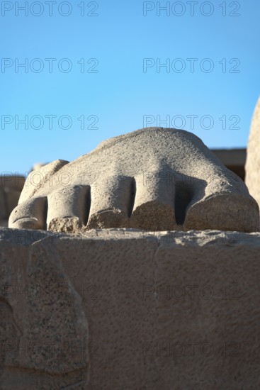Luxor, Egypt. December 13th 2022 Part of a statue of the fallen Ozymandias Colossus, at the