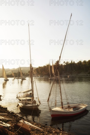 Aswan, Egypt. December 10th 2022 Felucca sailing boats at evening time at Elephantine Island on the