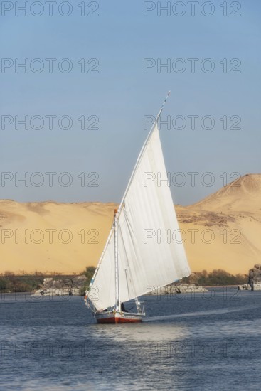 Cover image with copy space, a beautiful view of an Egyptian Felucca sail boat along the River Nile