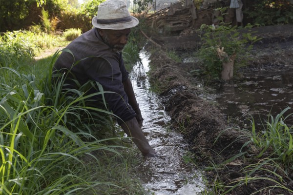 Aswan, Egypt. 9th December 2020 A Nubian farmer clears an irrigation ditch on his farm on the Nile