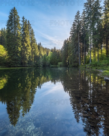 The Werrateich near the Rennsteig, Masserberg, Thuringian Forest nature park Park, Thuringia,