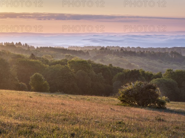 View of Rhön countryside with morning fog at sunrise, species-rich mountain meadow and forest, Rhön