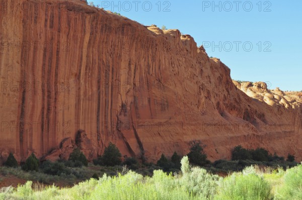 High red rock wall with vegetation at the bottom, Grand Staircase Escalante National Monument,
