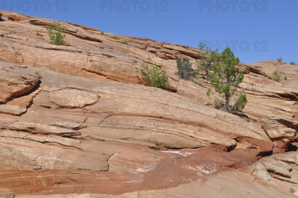 Large reddish rocks with visible layers and sparse plant growth under a blue sky, Grand Staircase