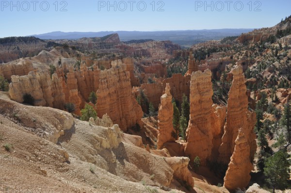 Red rock formations with trees in a canyon landscape with blue sky, Bryce Canyon National Park,