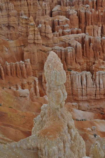 Detailed rock formations in bright orange show natural beauty, Bryce Canyon National Park, Utah,