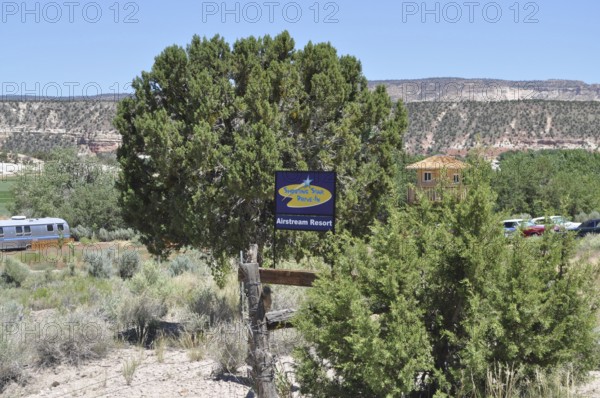 A tree with a sign in a rural landscape surrounded by green bushes and houses in the background,